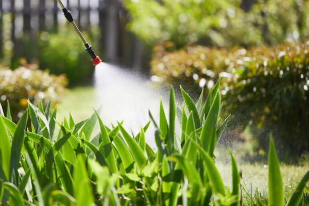 24/7 Emergency Mosquito Control experts in Trainer, PA