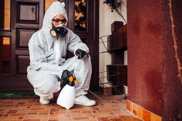 Reliable Mosquito Control contractor in Trainer, PA by Show Me Pest Control