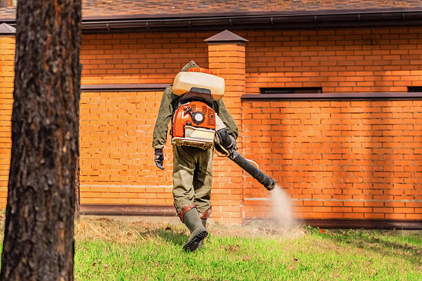 Top rated local Mosquito Control specialists in Trainer, PA